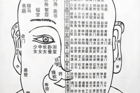 面相算命图解十二宫之：兄弟宫