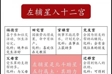 排紫薇斗数流年