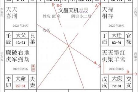 紫微斗数怎么生孩子 紫微斗数 生孩子？
