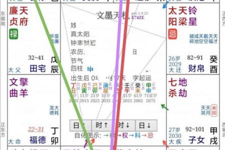 紫薇斗数难学吗