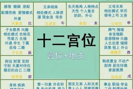 紫薇斗数大子女