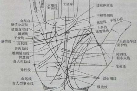 面相奇术：摸骨看面相算命口诀