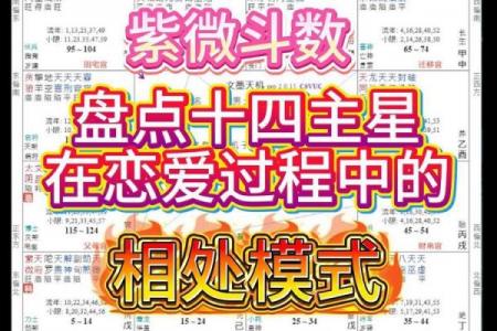 紫微斗数十四主星杂谈