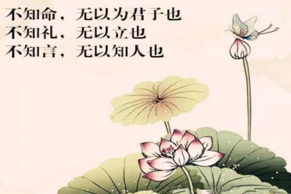 没基础硬学八字！墙都不扶，舅服你。