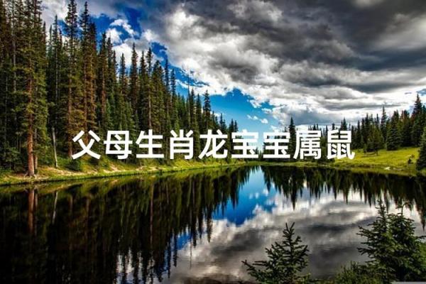 属龙和属鼠的八字合吗