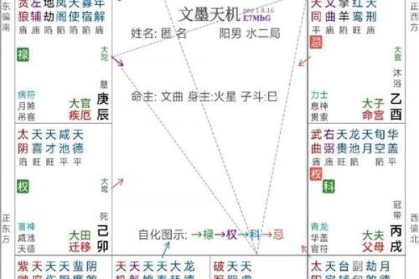 天厨紫薇斗数