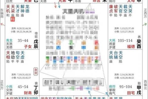 天厨紫薇斗数