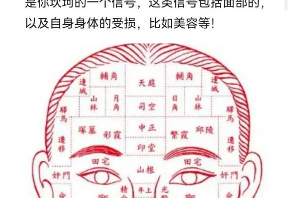 眼皮的面相解析 通过眼皮看面相算命