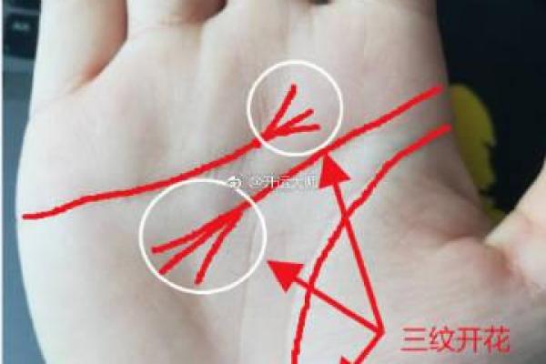 从腿部看相算命