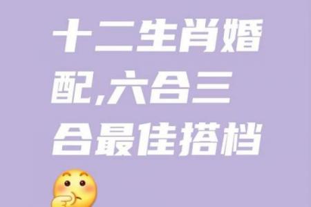属龙和属鼠的八字合吗