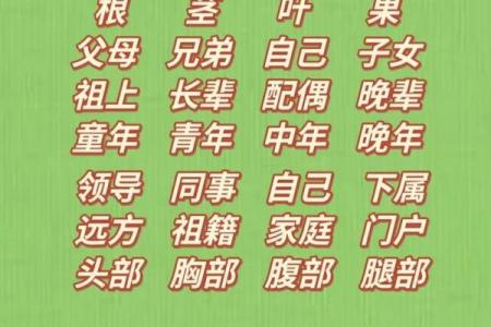 八字中时柱的含义 八字时柱有什么寓意