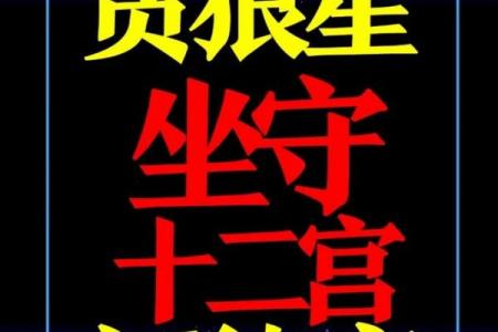 廉贞星什么星座