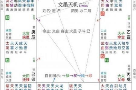 天厨紫薇斗数
