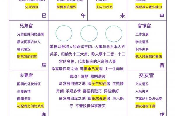 紫薇斗数命盘怎么看子女宫