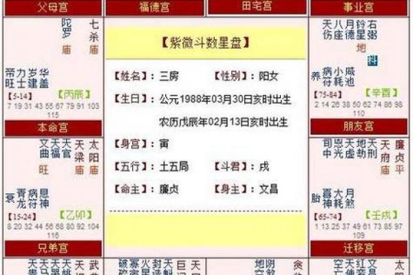 紫薇斗数命盘怎么看子女宫