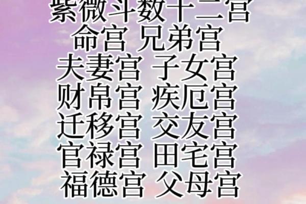 紫薇星入命宫平