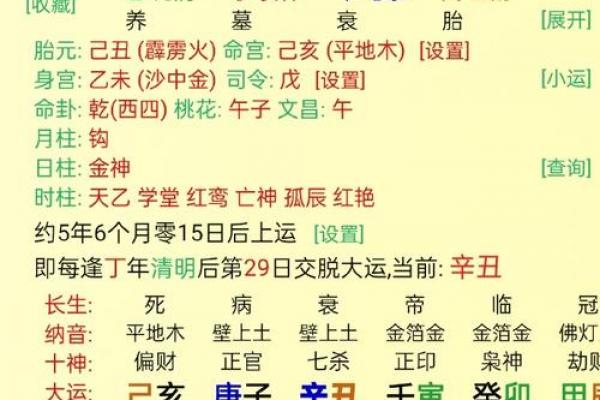 八字有丁未