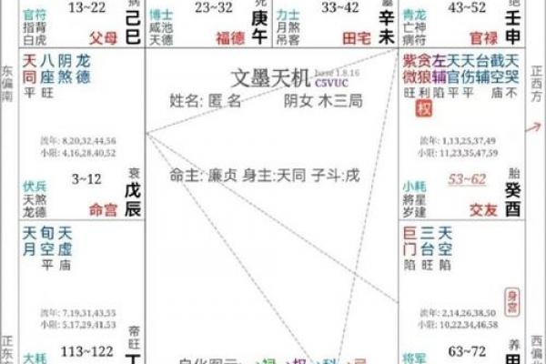 紫薇斗数富豪命