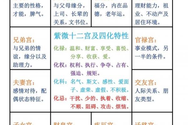 紫薇斗数解释意思