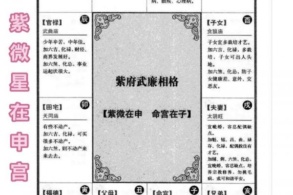 紫薇斗数全部星宿