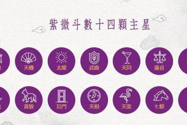 紫薇斗数全部星宿