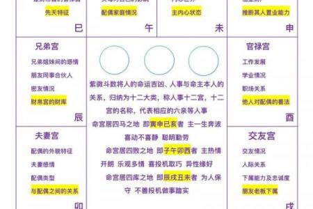 紫薇斗数命盘怎么看子女宫