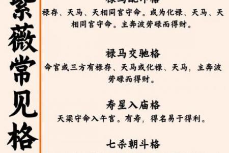 紫薇星入命宫平