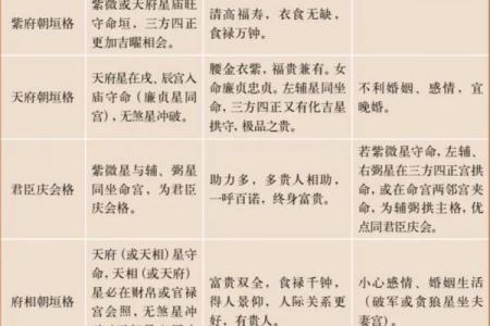 紫薇斗数中的年解