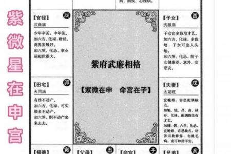 紫薇斗数全部星宿