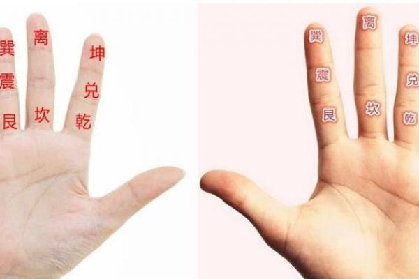 算命的手势,各种手势图片大全
