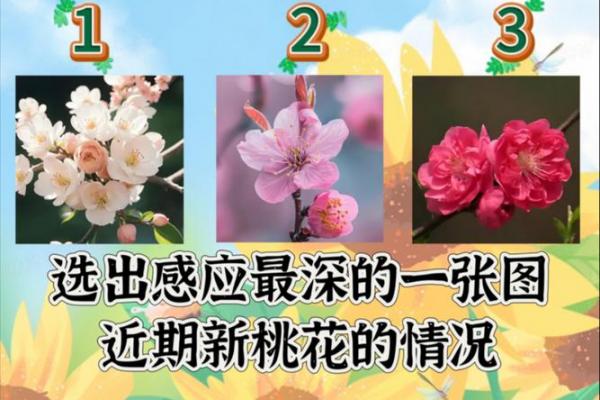 塔罗测试：十一月桃花运？