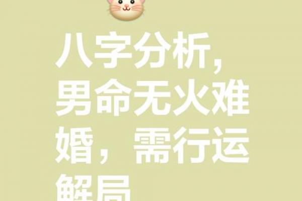 八字夫妻宫为喜用神