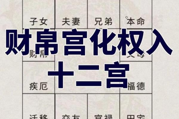 紫微斗数财帛宫破军入庙 财帛宫 破军？