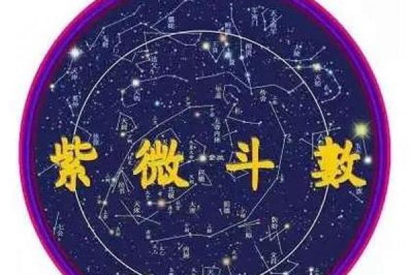 紫微斗数财帛宫破军入庙 财帛宫 破军？