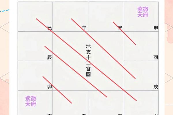 紫薇斗数手工排盘视频
