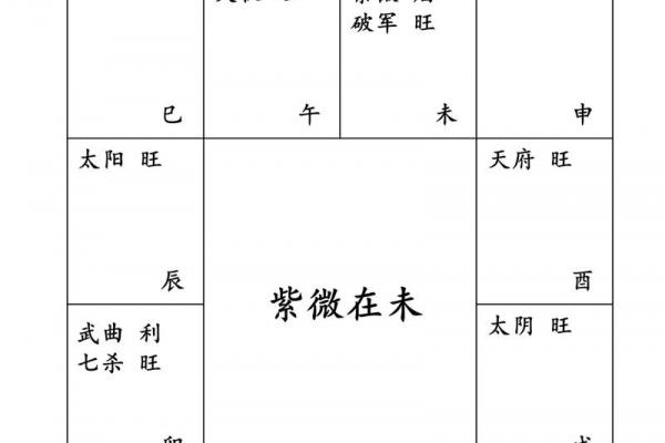 紫薇斗数手工排盘视频