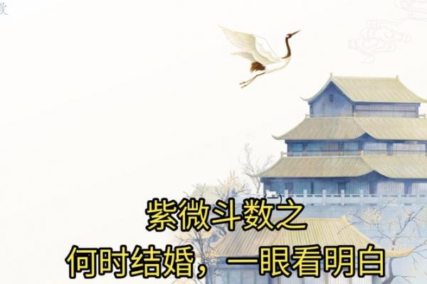紫薇斗数如何看结婚