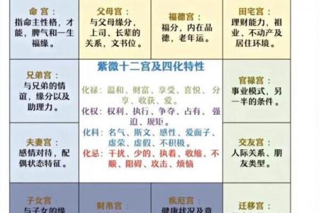 紫薇斗数适合怀孕