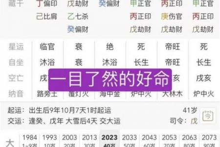 八字命理库