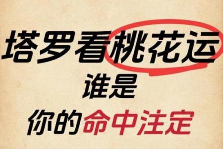 塔罗测试：十一月桃花运？