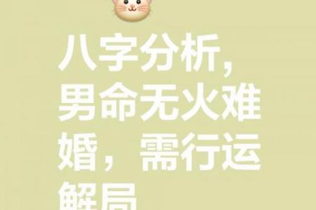 八字夫妻宫为喜用神