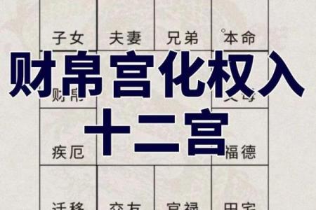 紫微斗数财帛宫破军入庙 财帛宫 破军？