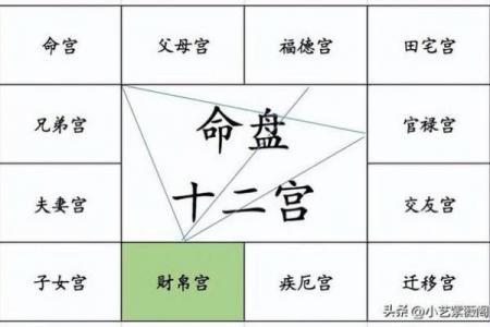 紫薇斗数紫薇入命宫