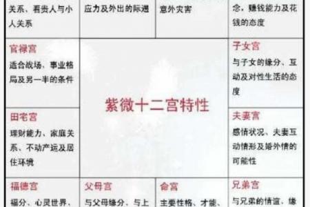紫微斗数诸星落诸宫之，七杀星：阴金疾厄宫详解