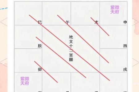 紫薇斗数手工排盘视频