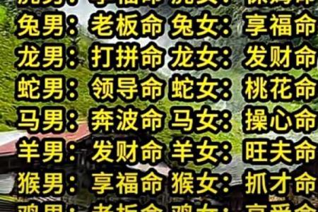 八字多合女命