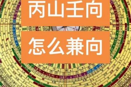 丙山壬向兼午子风水