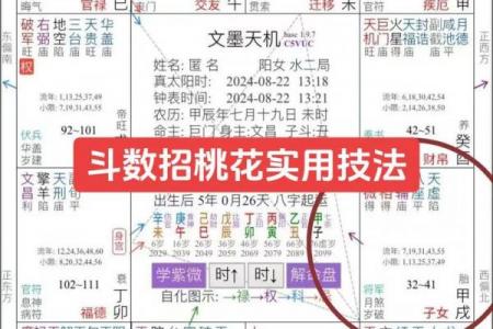 紫薇斗数如何看结婚