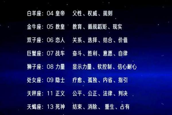 十二星座最适合哪种魔法师