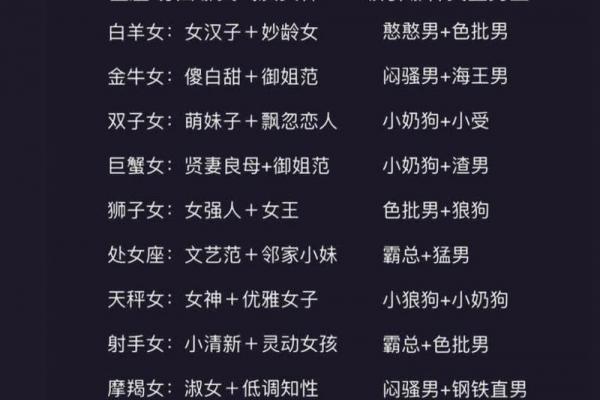 十二星座最适合哪种魔法师